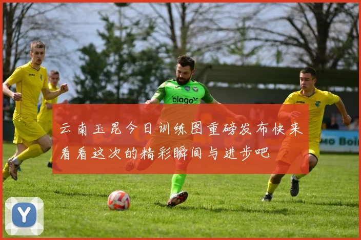 云南玉昆今日训练图重磅发布快来看看这次的精彩瞬间与进步吧